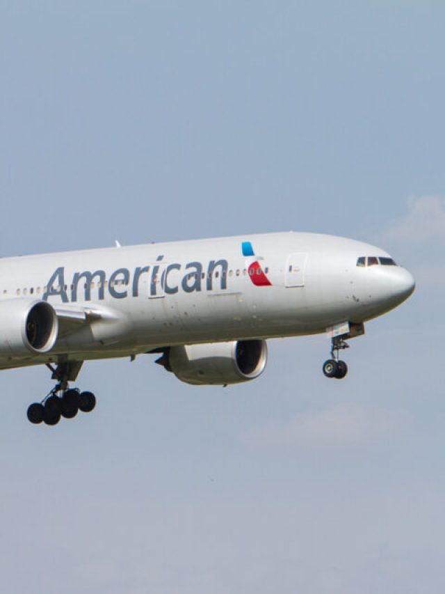 mother sues american airlines for Misplaced her kids