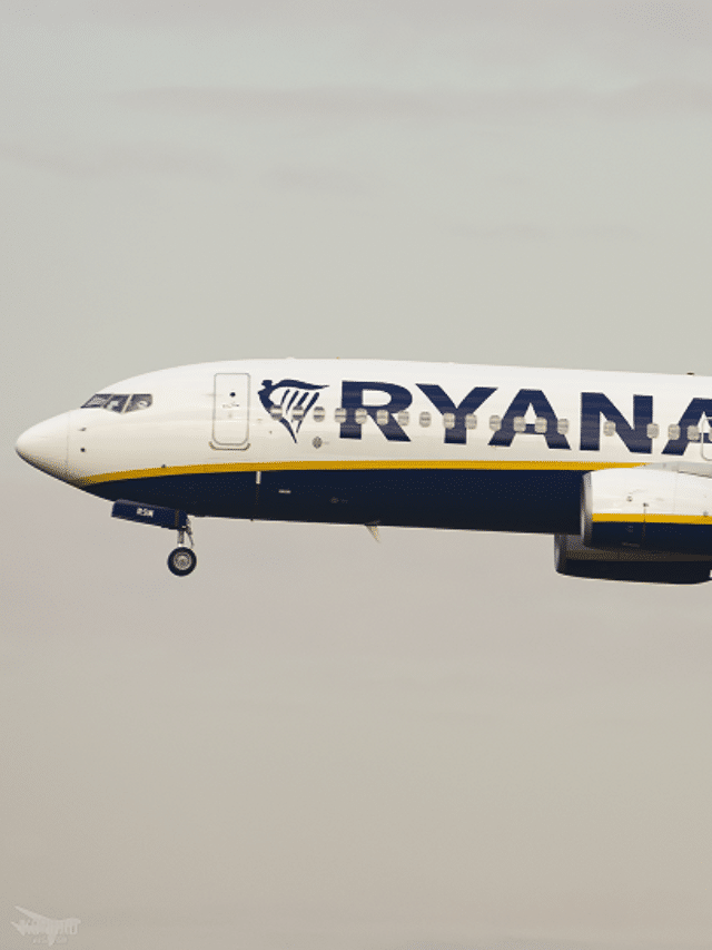 Passenger Attempts To Troll Ryanair With Artwork