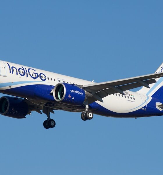 Does Indigo Airlines Use Extra Salt in Their Food? Here's the Answer