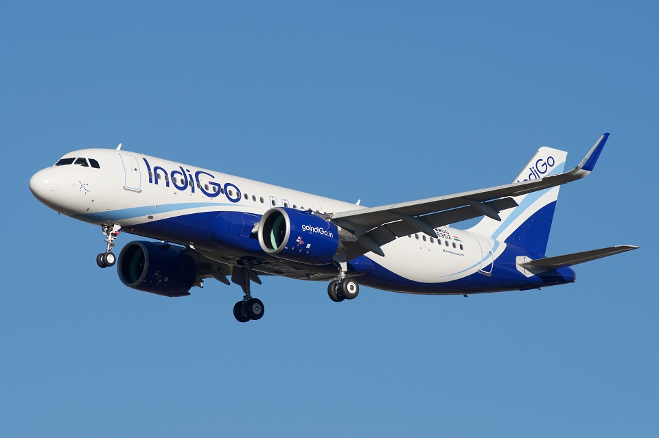 Does Indigo Airlines Use Extra Salt in Their Food? Here's the Answer