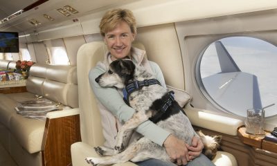 K9 JETS launches first-ever Dubai-London flights for cats and dogs