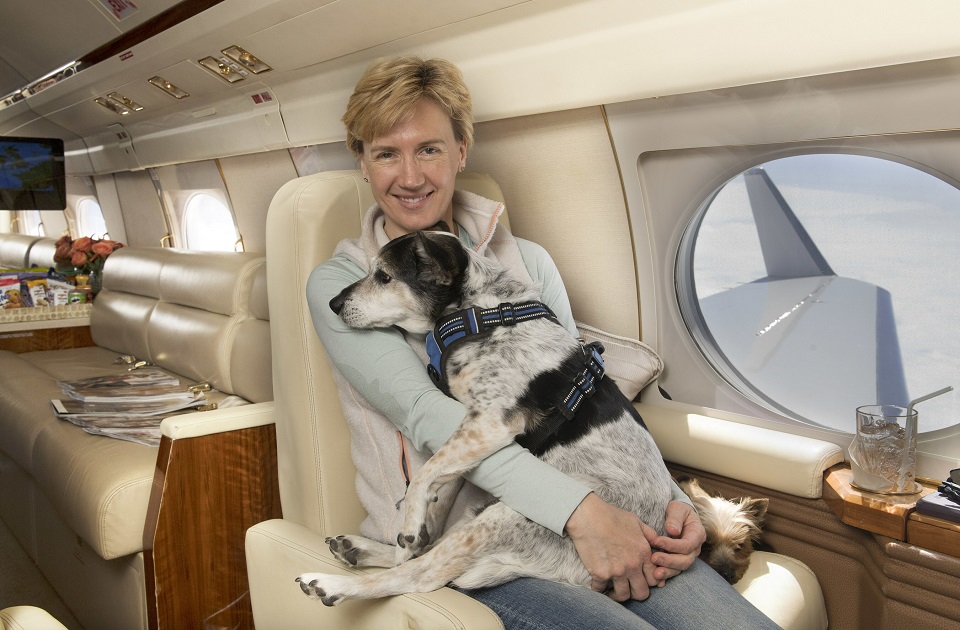 K9 JETS launches first-ever Dubai-London flights for cats and dogs