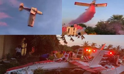 Gender reveal party turns into horror scene as plane nosedives and crashes killing pilot
