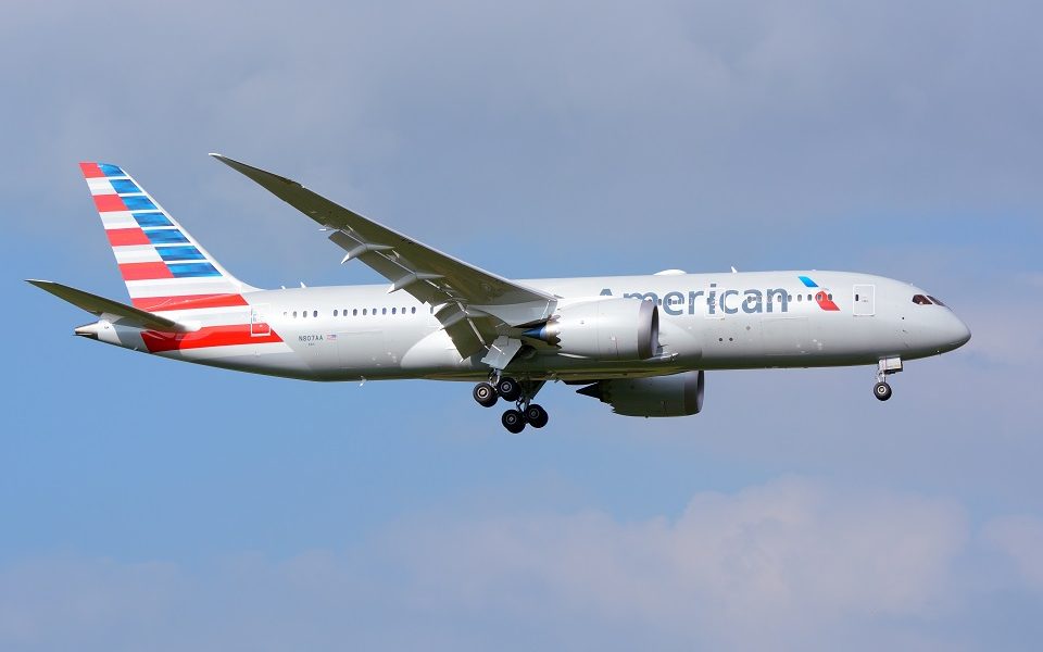 American Airlines Passenger Assaults Flight Attendant, Stunned by Arrest
