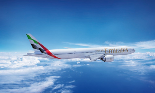 Emirates Flight Collides with Flamingos 36 Dead, Near Mumbai
