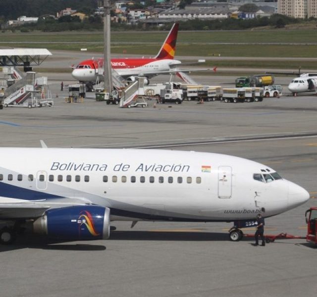 BoA B737-8 Collides with Dogs on Runway During Takeoff 